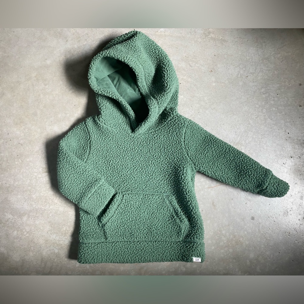 🪲 G A P boys 2T fleece pullover